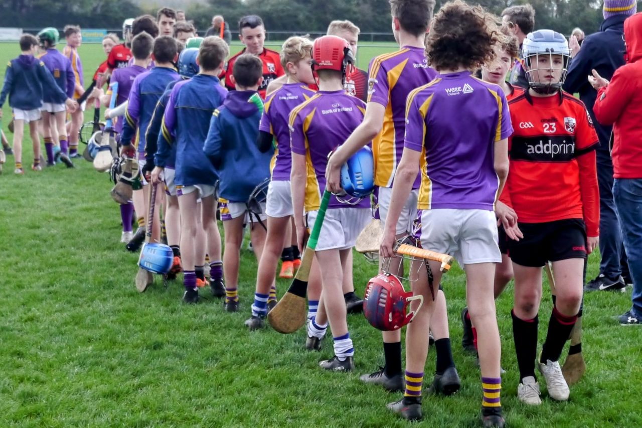 U12 Hurling League Div.11 vs. Trinity Gaels