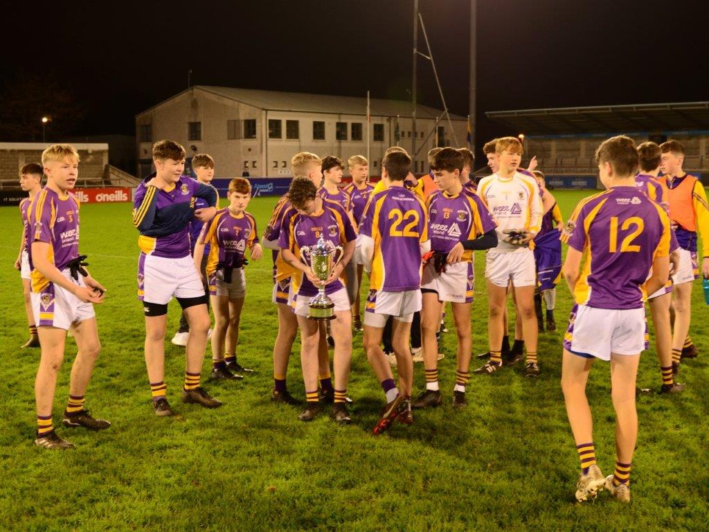 Kilmacud Crokes Under 14 Division 1 Cup Winners 