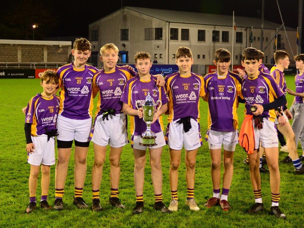 Kilmacud Crokes Under 14 Division 1 Cup Winners 