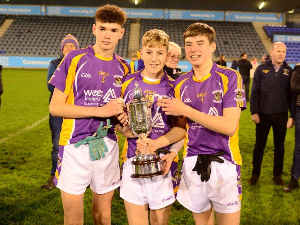 Kilmacud Crokes Under 14 Division 1 Cup Winners 