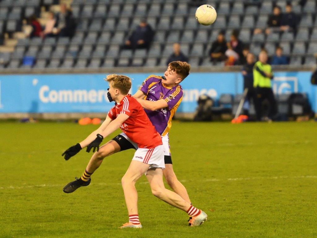 Kilmacud Crokes Under 14 Division 1 Cup Winners 