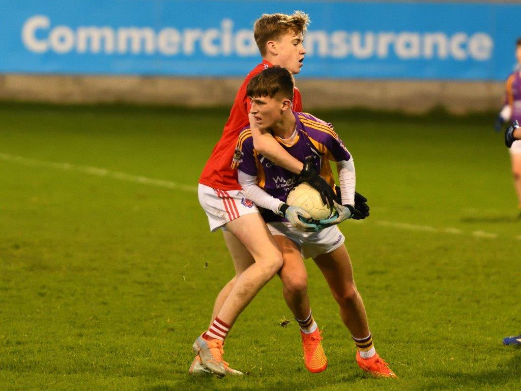 Kilmacud Crokes Under 14 Division 1 Cup Winners 