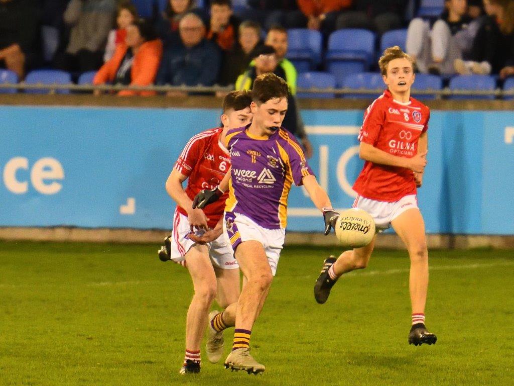 Kilmacud Crokes Under 14 Division 1 Cup Winners 