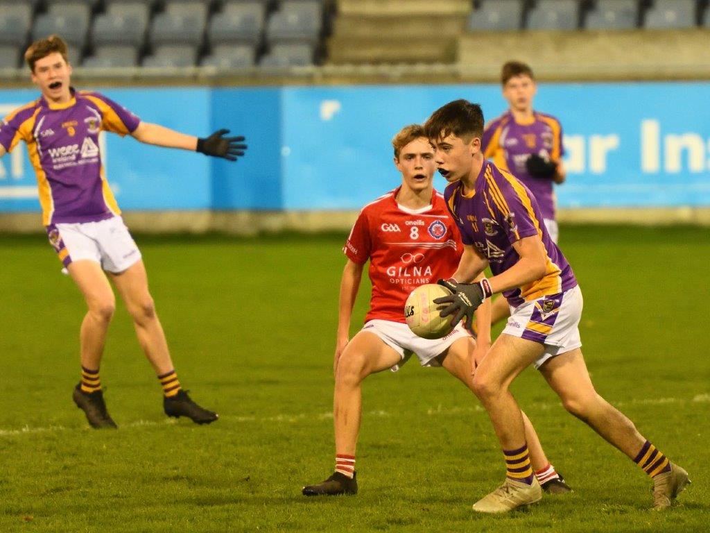 Kilmacud Crokes Under 14 Division 1 Cup Winners 