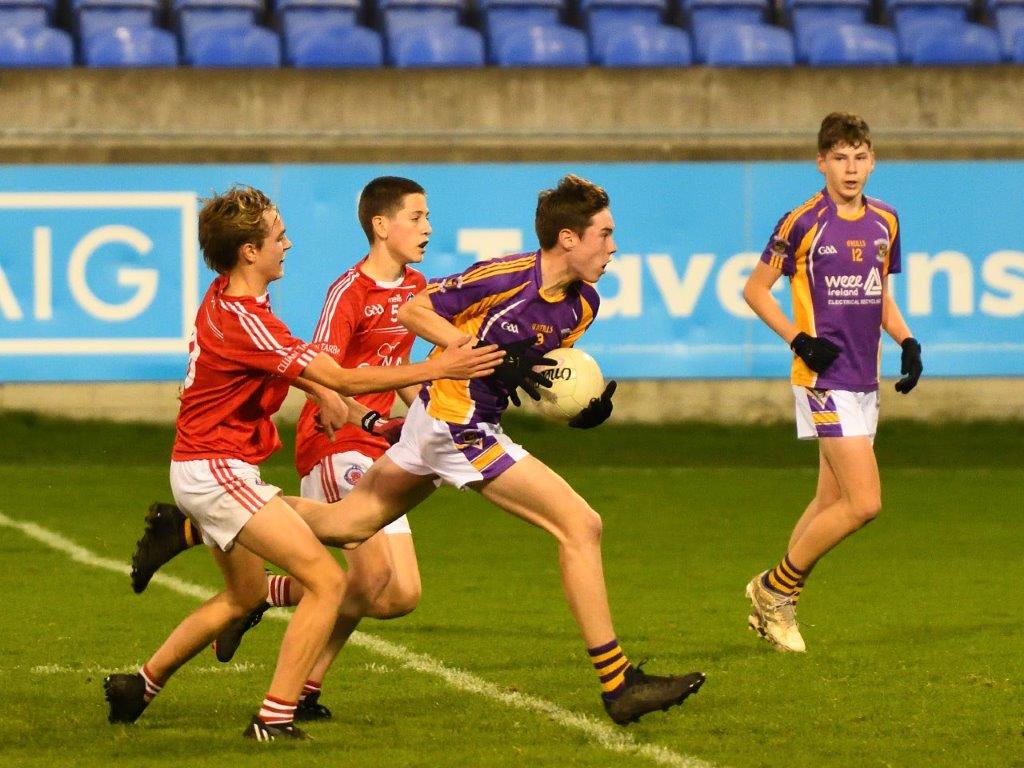 Kilmacud Crokes Under 14 Division 1 Cup Winners 