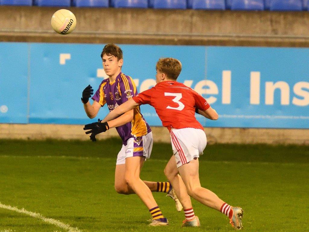 Kilmacud Crokes Under 14 Division 1 Cup Winners 