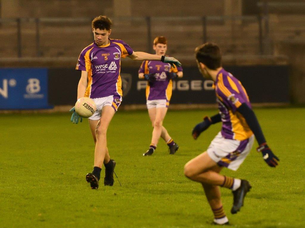 Kilmacud Crokes Under 14 Division 1 Cup Winners 