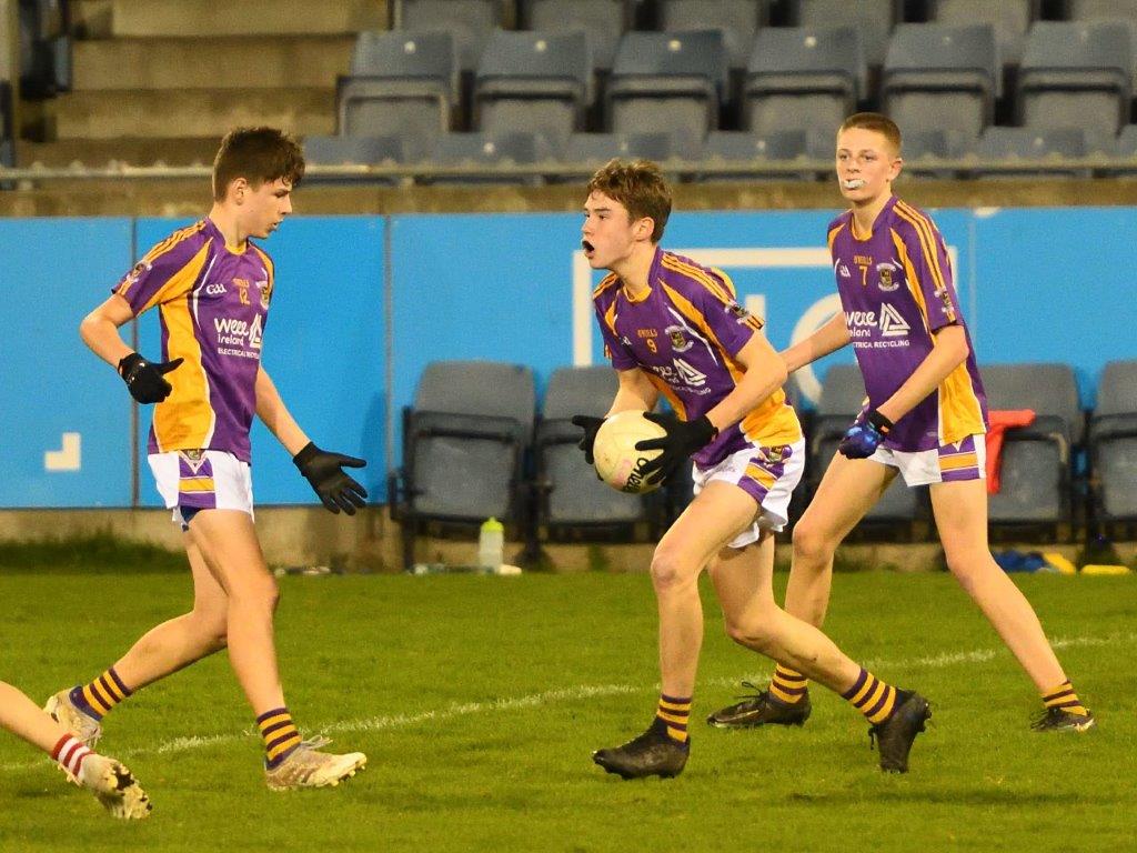 Kilmacud Crokes Under 14 Division 1 Cup Winners 