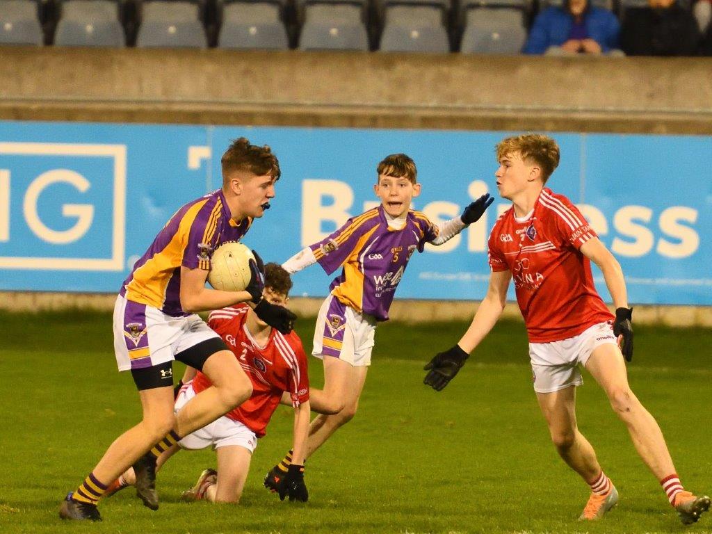 Kilmacud Crokes Under 14 Division 1 Cup Winners 