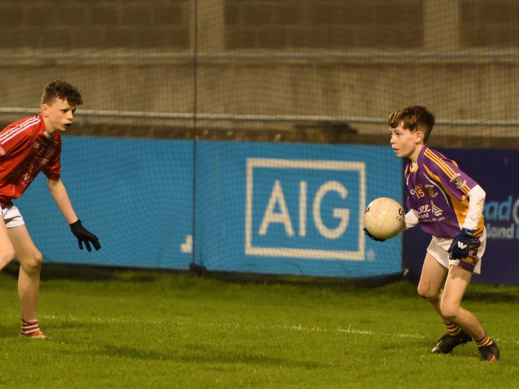 Kilmacud Crokes Under 14 Division 1 Cup Winners 