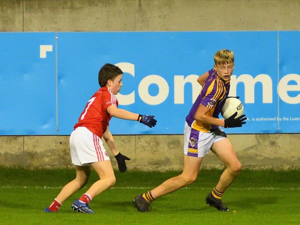 Kilmacud Crokes Under 14 Division 1 Cup Winners 