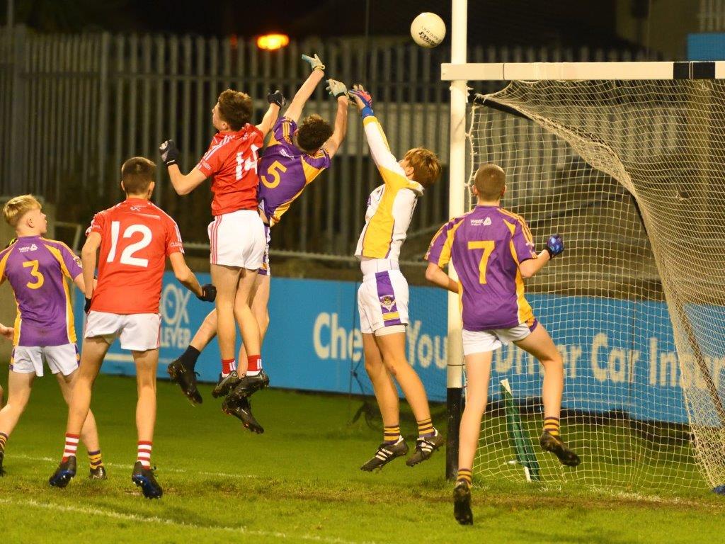 Kilmacud Crokes Under 14 Division 1 Cup Winners 