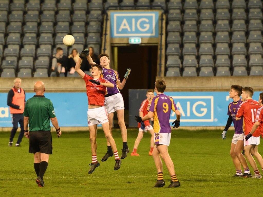 Kilmacud Crokes Under 14 Division 1 Cup Winners 