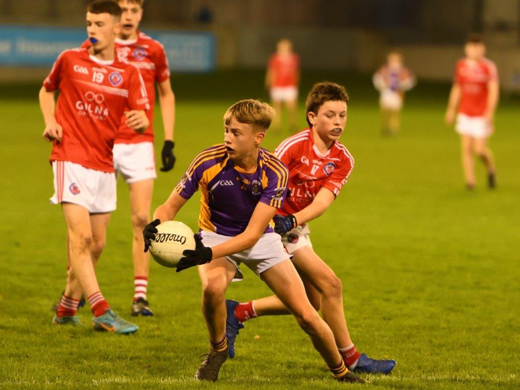 Kilmacud Crokes Under 14 Division 1 Cup Winners 