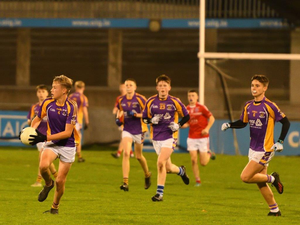 Kilmacud Crokes Under 14 Division 1 Cup Winners 