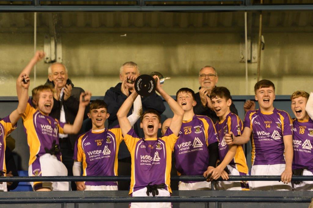 Kilmacud Crokes Under 14 Division 1 Cup Winners