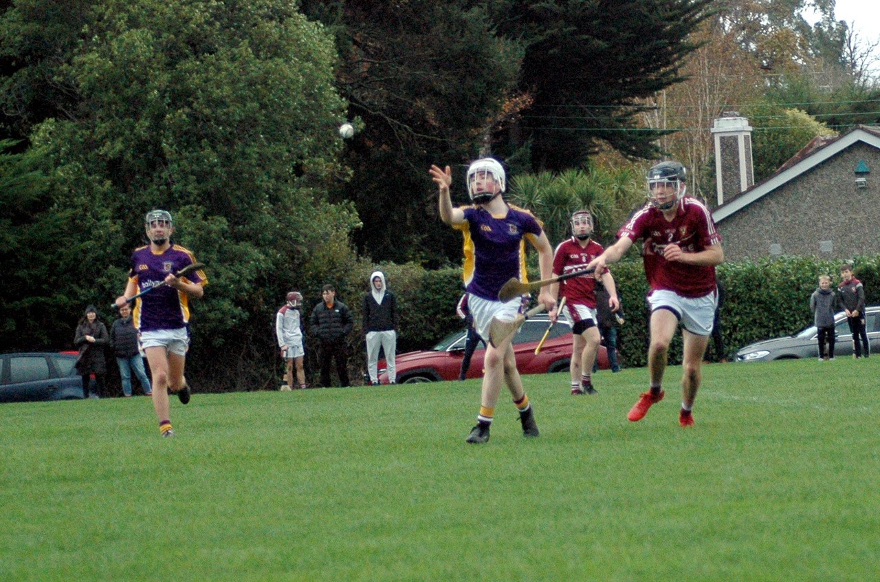 U17B HURLERS FOLLOW UP GROUP WIN WITH QUARTER FINAL WIN OVER RAHENY