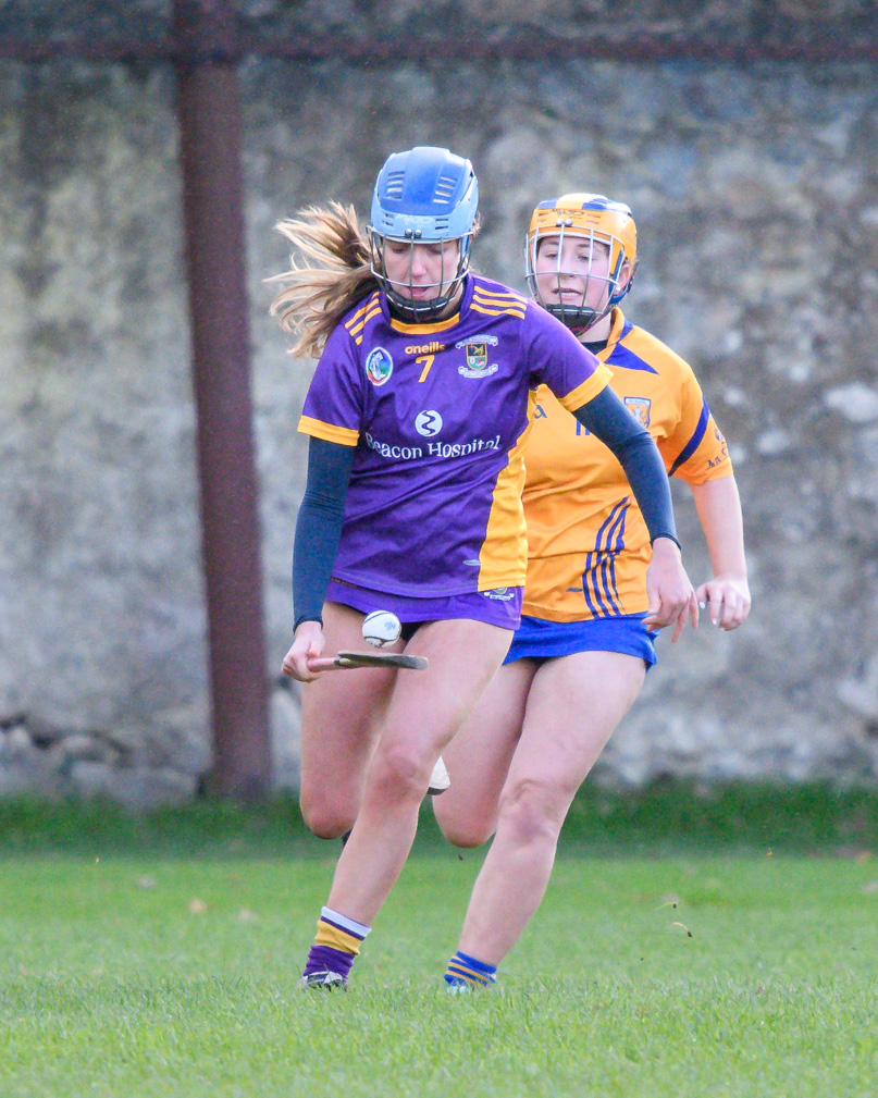 Camogie U21 Championship Division 3 Group B  Kilmacud Crokes V Na Fianna 