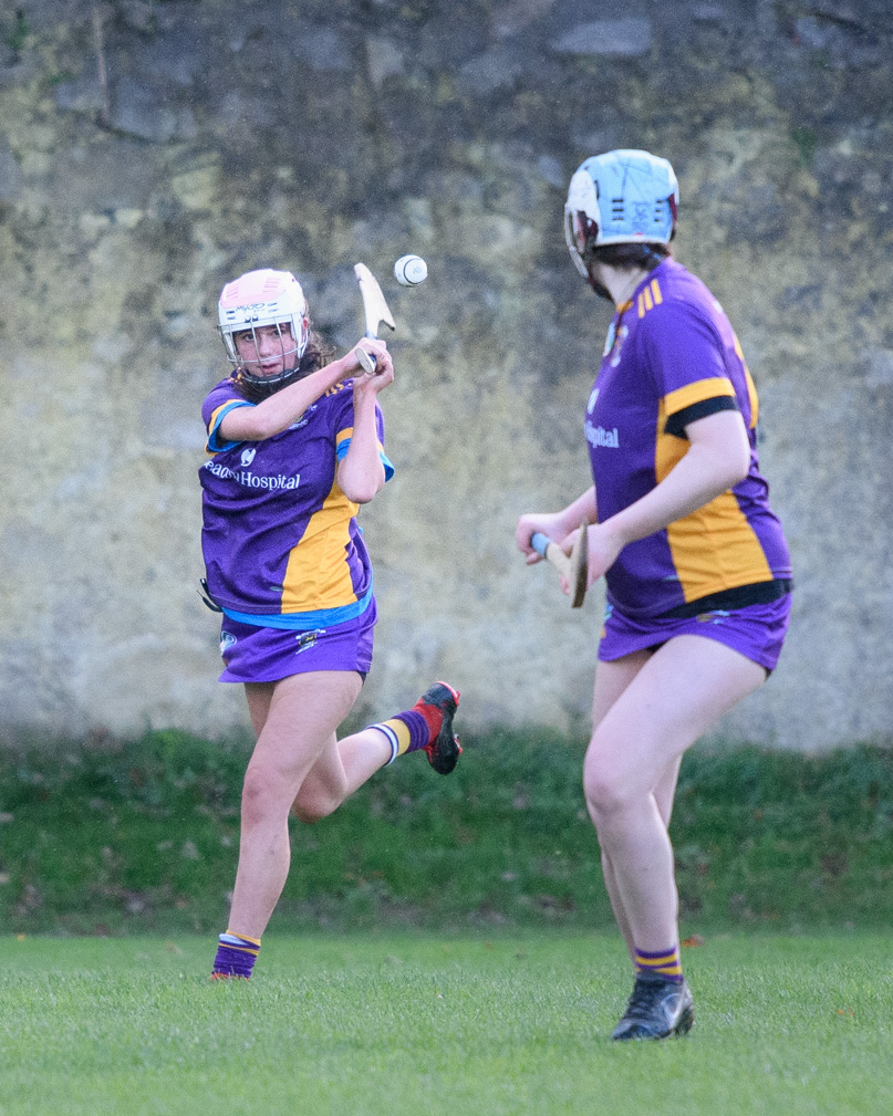 Camogie U21 Championship Division 3 Group B  Kilmacud Crokes V Na Fianna 