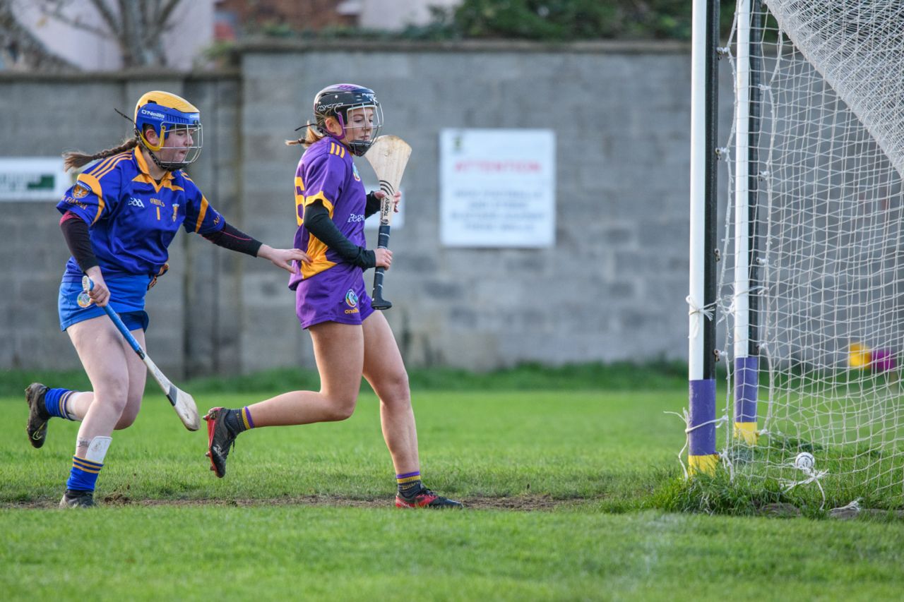 Camogie U21 Championship Division 3 Group B  Kilmacud Crokes V Na Fianna 