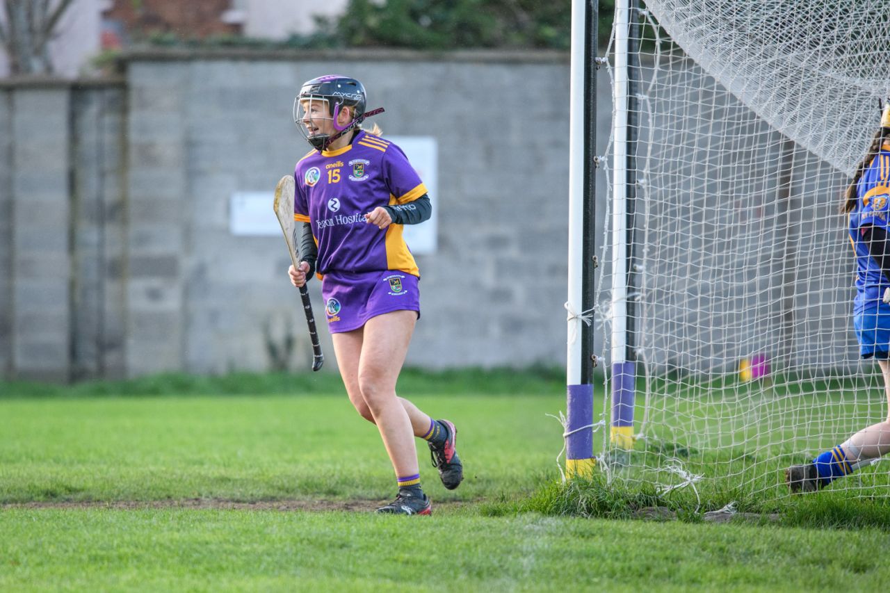 Camogie U21 Championship Division 3 Group B  Kilmacud Crokes V Na Fianna 