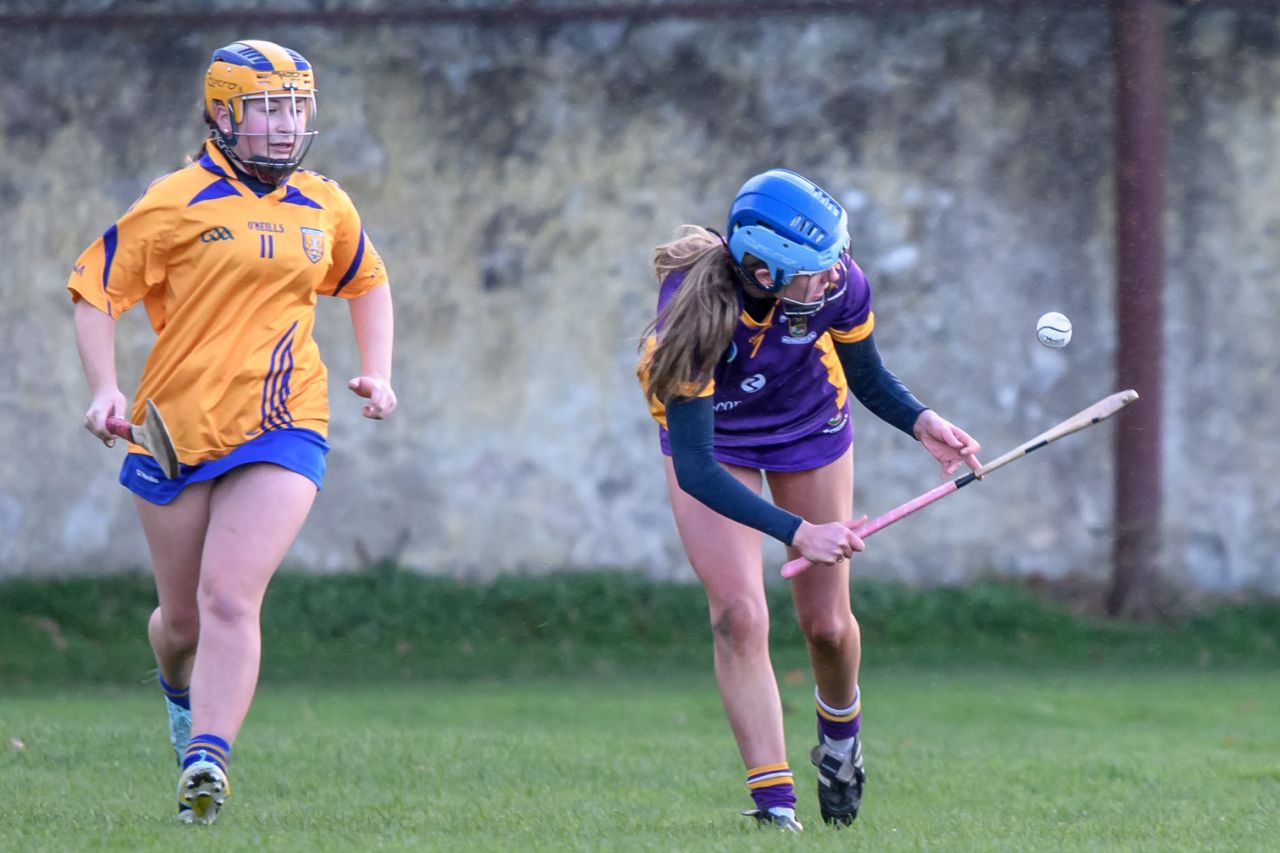 Camogie U21 Championship Division 3 Group B  Kilmacud Crokes V Na Fianna 