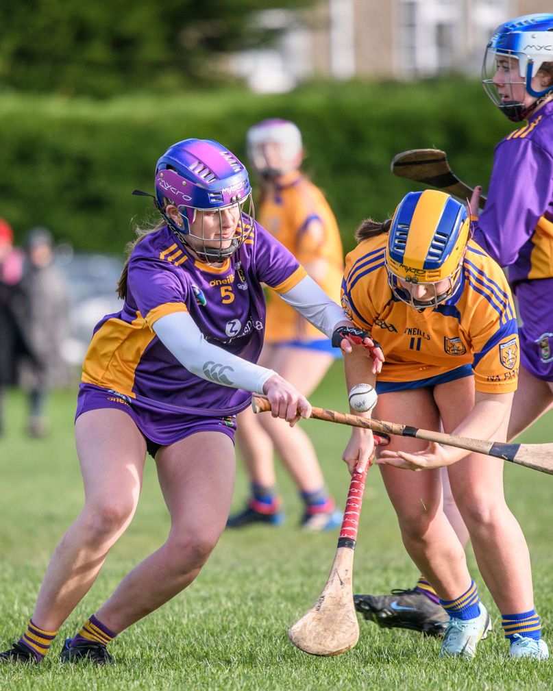 Camogie U21 Championship Division 3 Group B  Kilmacud Crokes V Na Fianna 