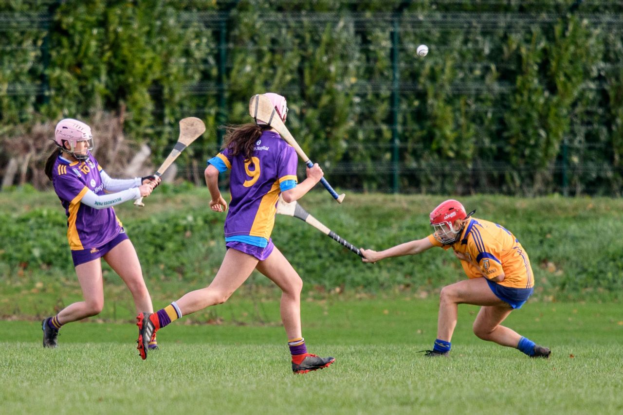 Camogie U21 Championship Division 3 Group B  Kilmacud Crokes V Na Fianna 