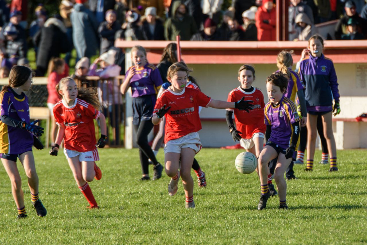 Kilmacud Crokes Senior Ladies Footballers loose out at All Ireland Club Semi Final Stage 