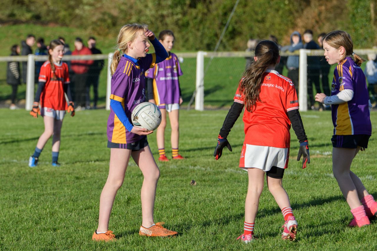 Kilmacud Crokes Senior Ladies Footballers loose out at All Ireland Club Semi Final Stage 