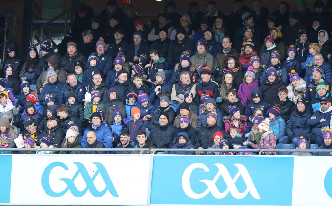 Strong finish by Senior Hurlers in Leinster Hurling Final