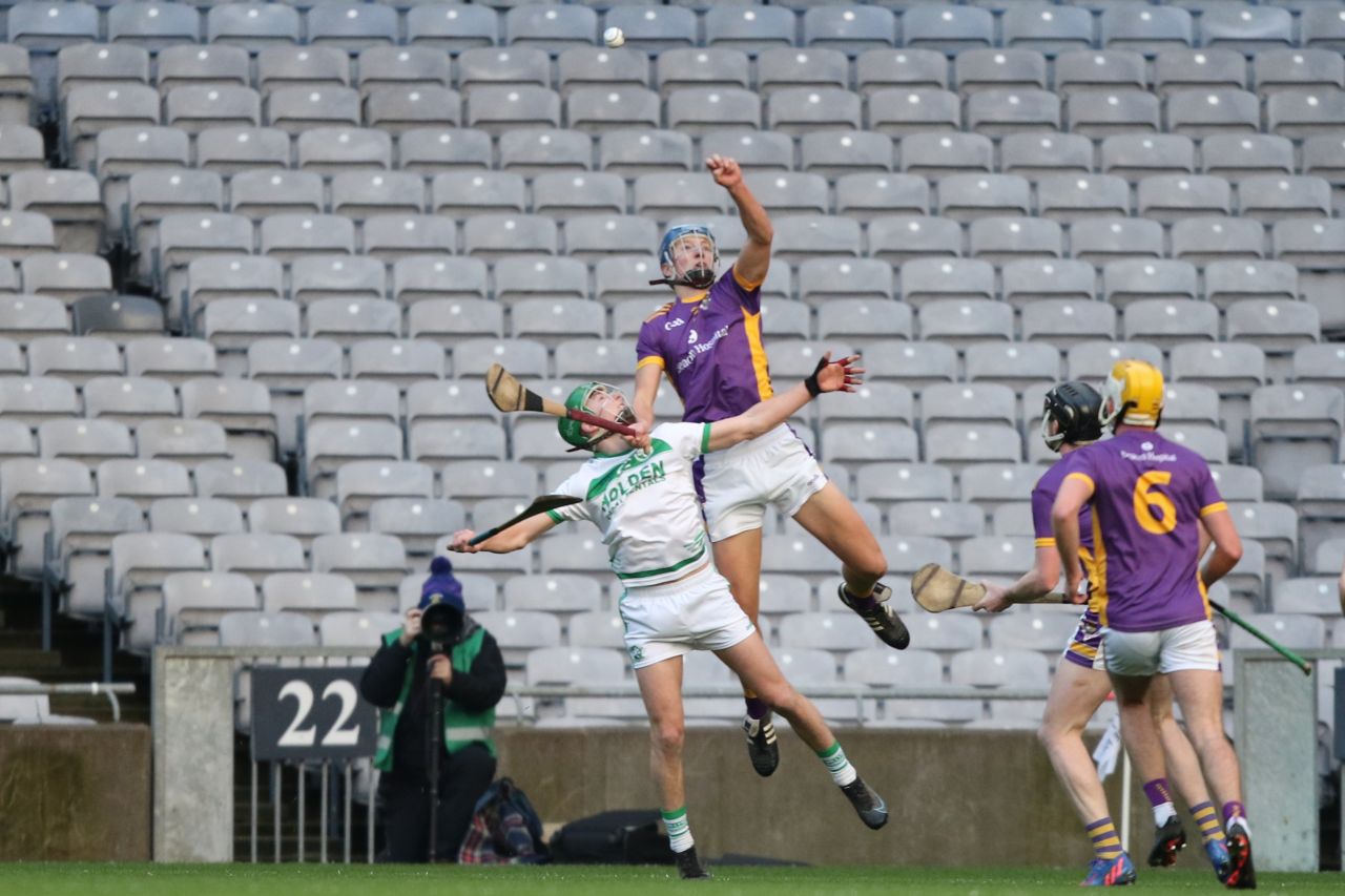 Strong finish by Senior Hurlers in Leinster Hurling Final