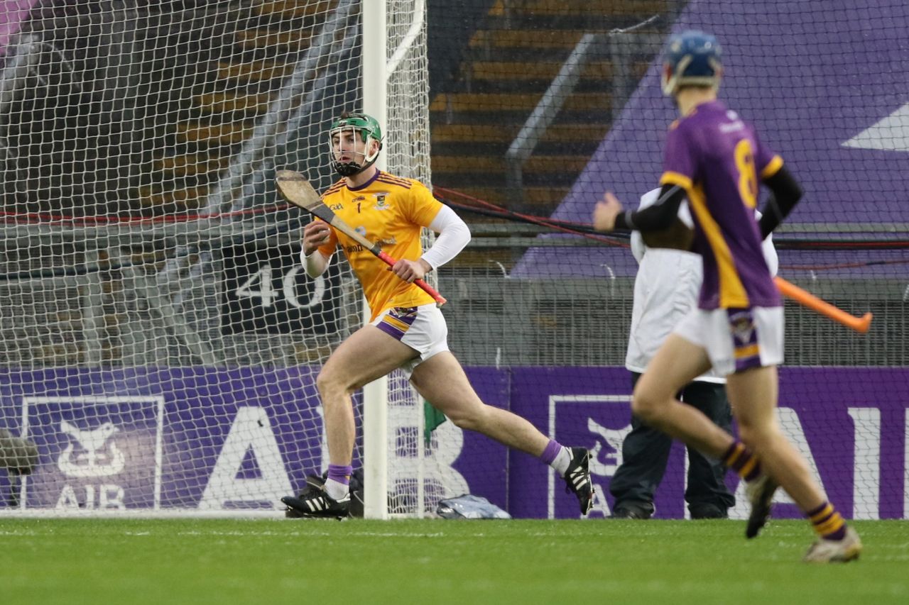 Strong finish by Senior Hurlers in Leinster Hurling Final