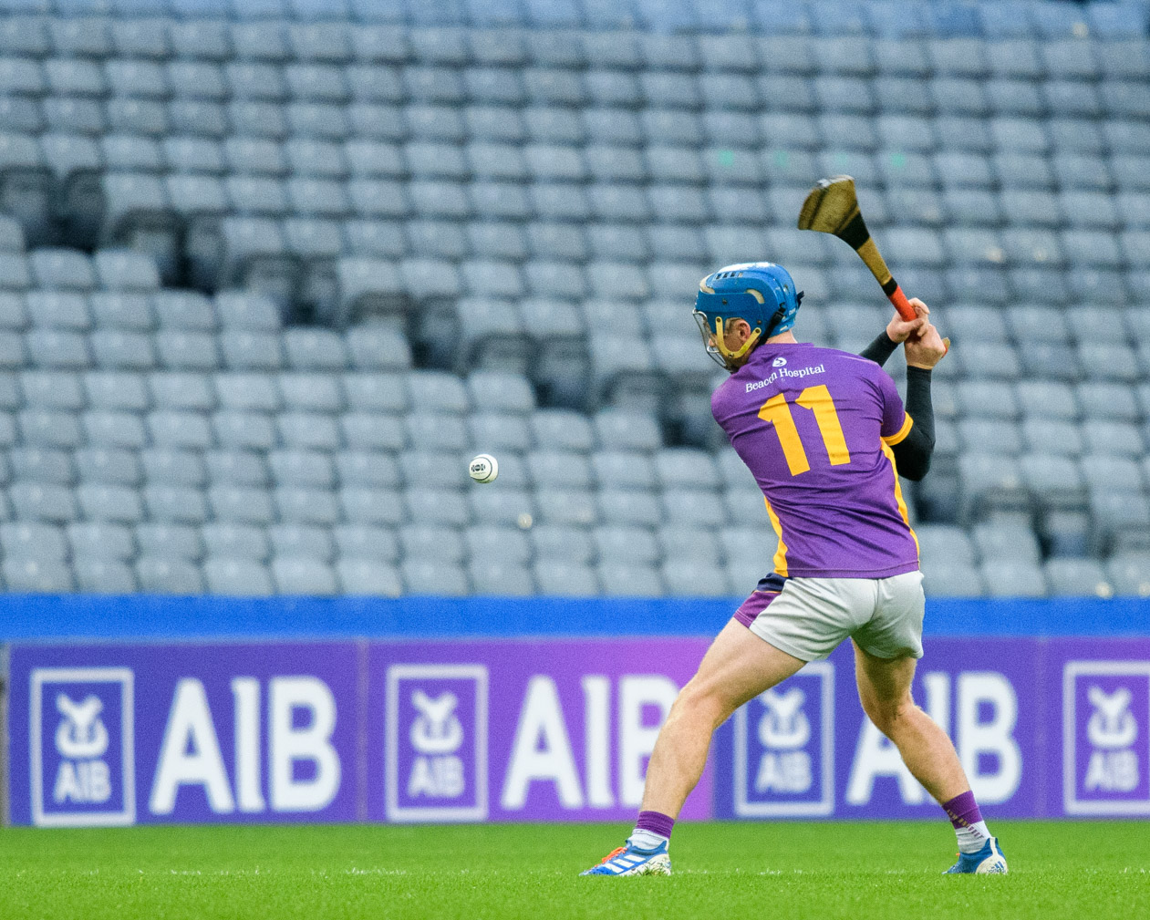 Strong finish by Senior Hurlers in Leinster Hurling Final