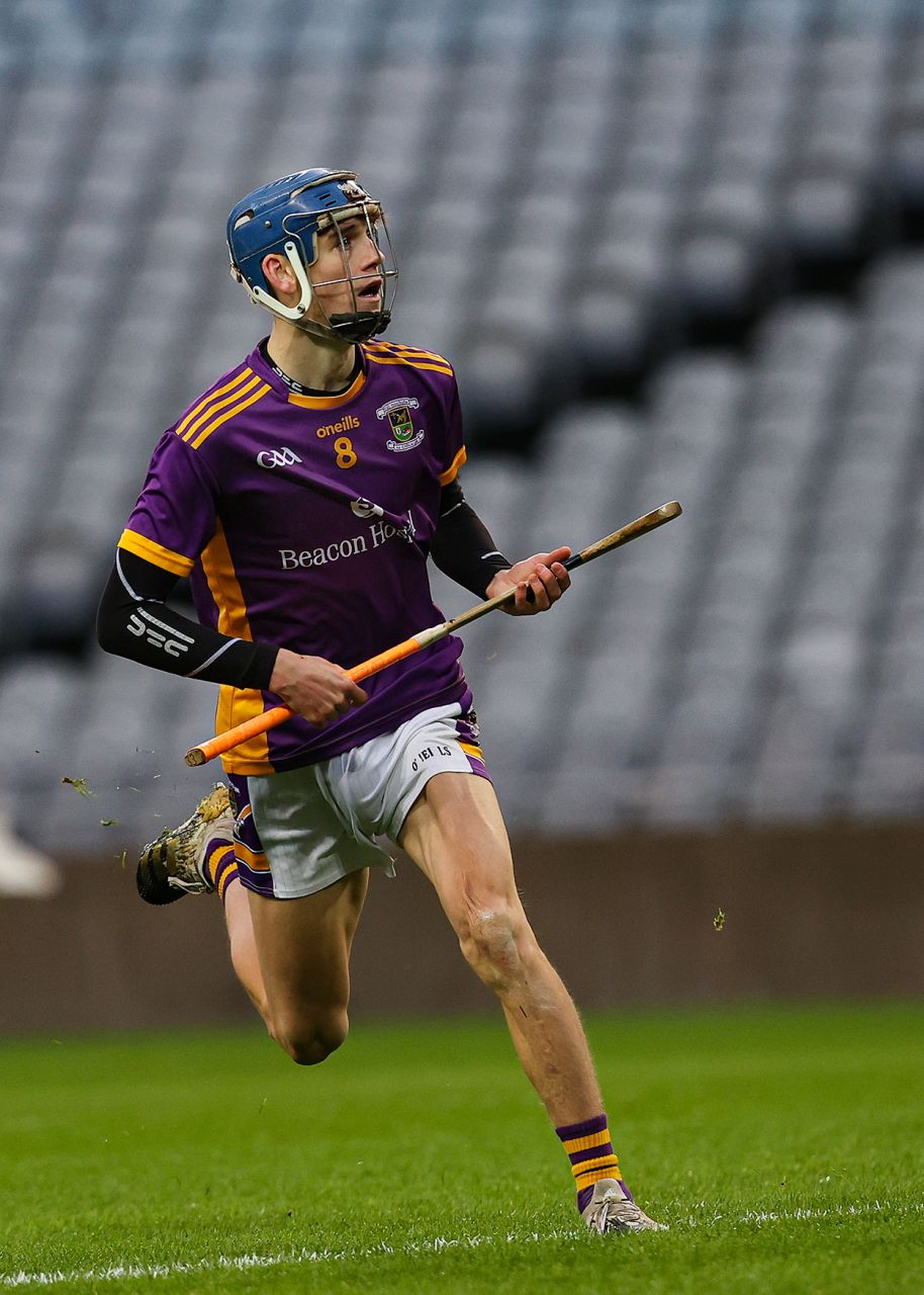 Strong finish by Senior Hurlers in Leinster Hurling Final