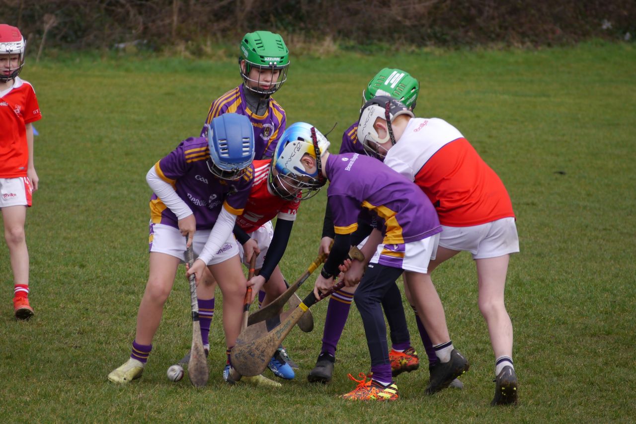 U10 Hurling Gp.1Z  vs St Brigids