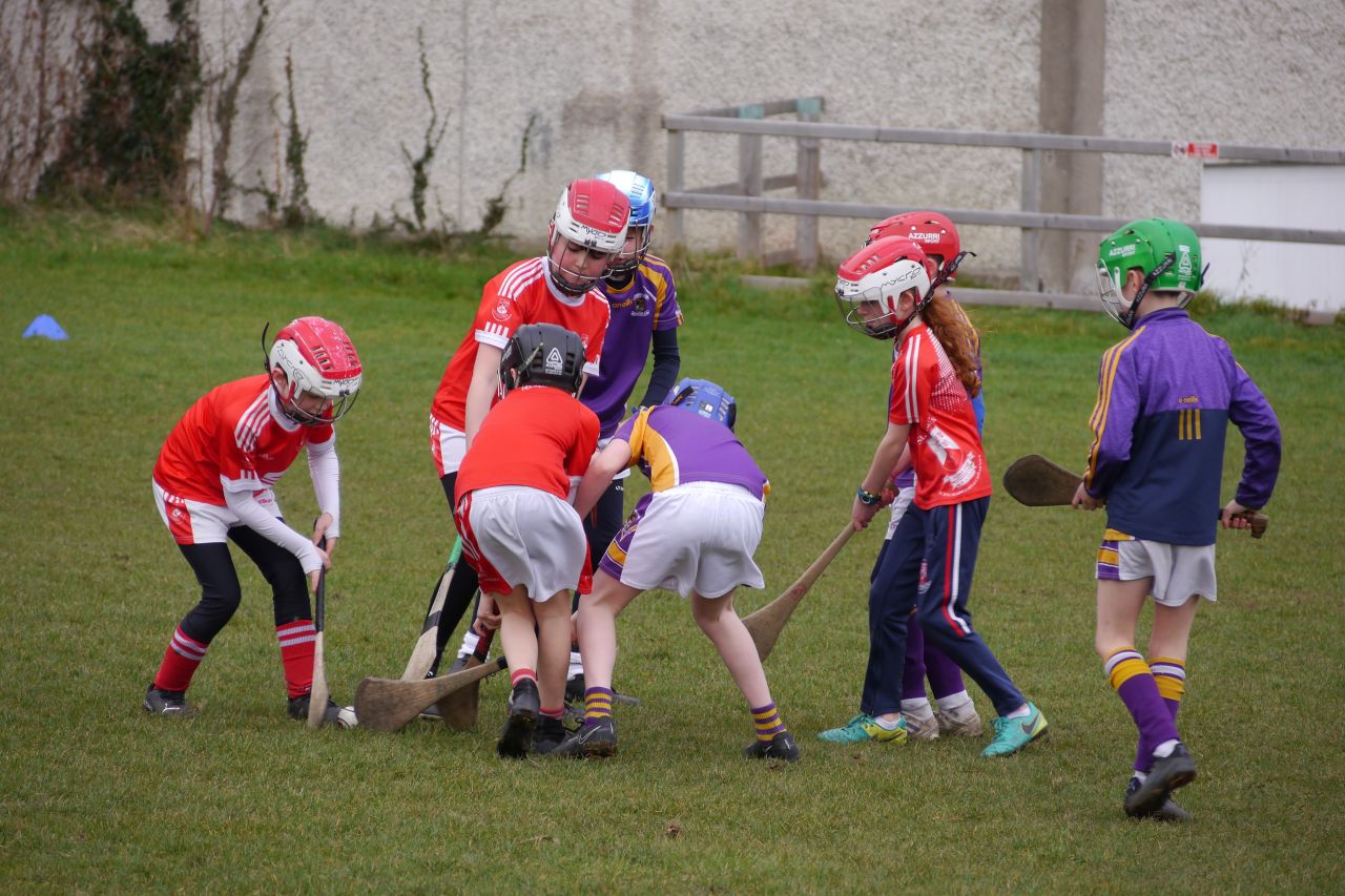 U10 Hurling Gp.1Z  vs St Brigids