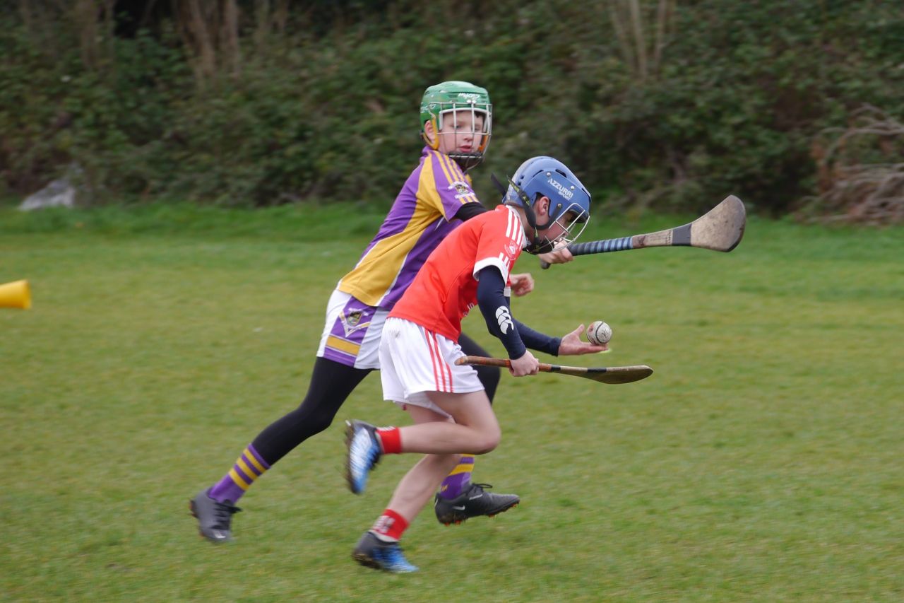 U10 Hurling Gp.1Z  vs St Brigids