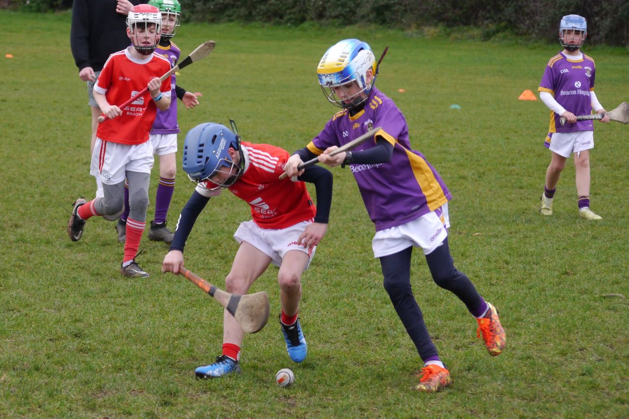 U10 Hurling Gp.1Z  vs St Brigids