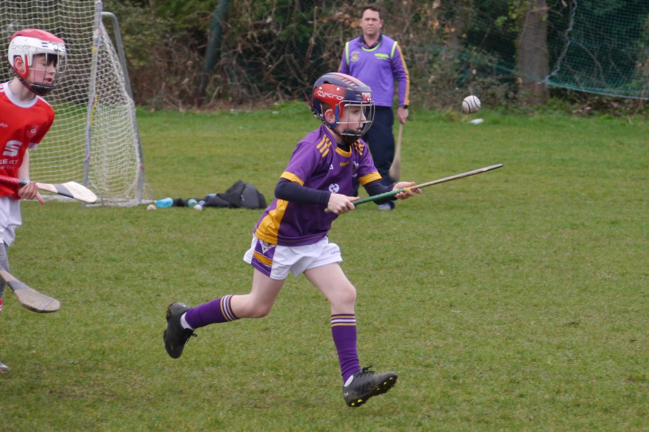 U10 Hurling Gp.1Z  vs St Brigids