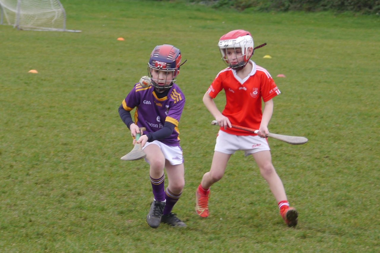 U10 Hurling Gp.1Z  vs St Brigids