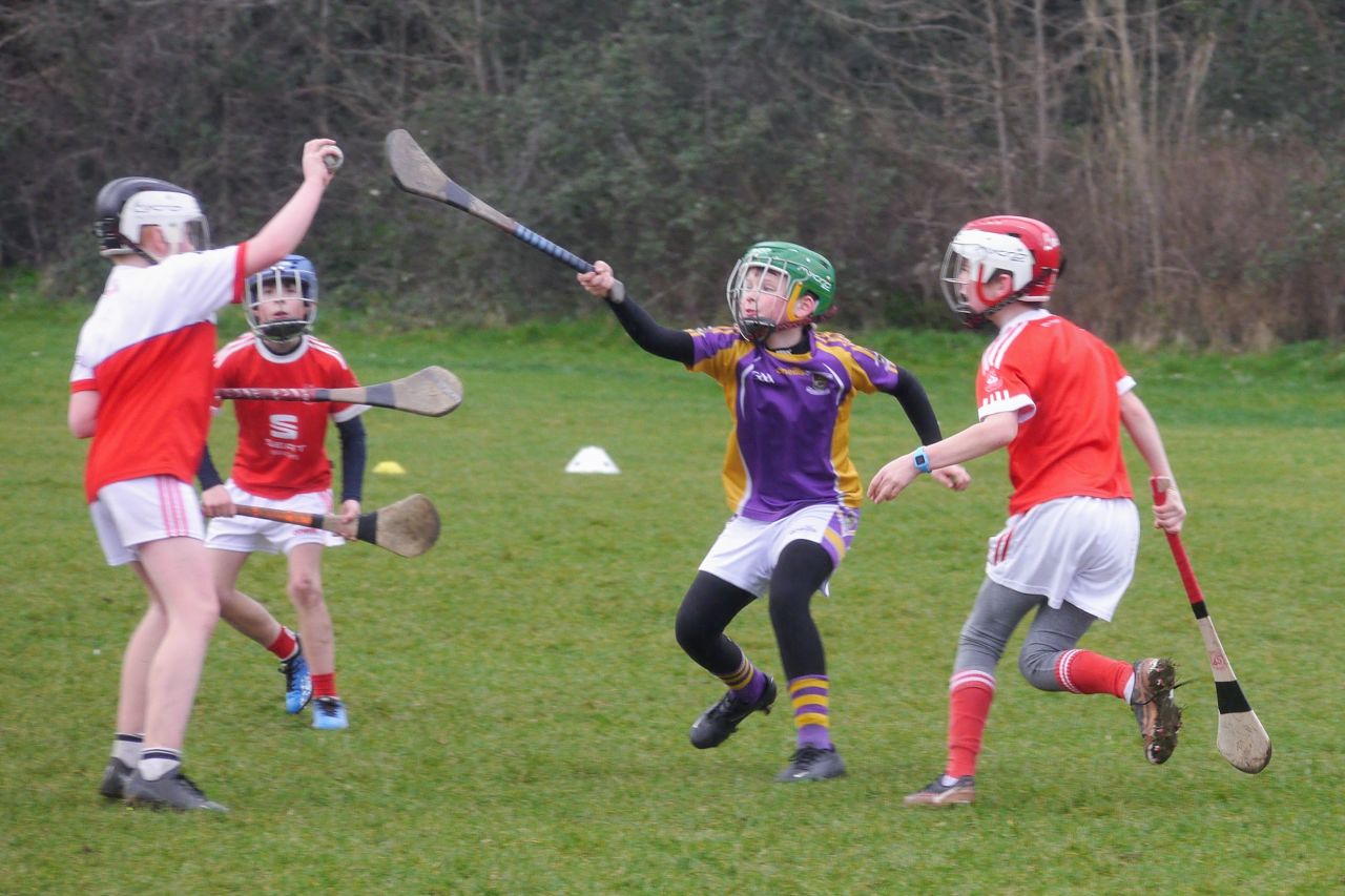 U10 Hurling Gp.1Z  vs St Brigids