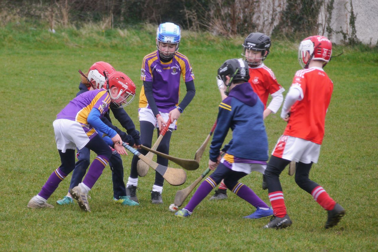 U10 Hurling Gp.1Z  vs St Brigids