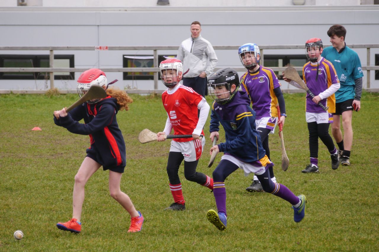 U10 Hurling Gp.1Z  vs St Brigids