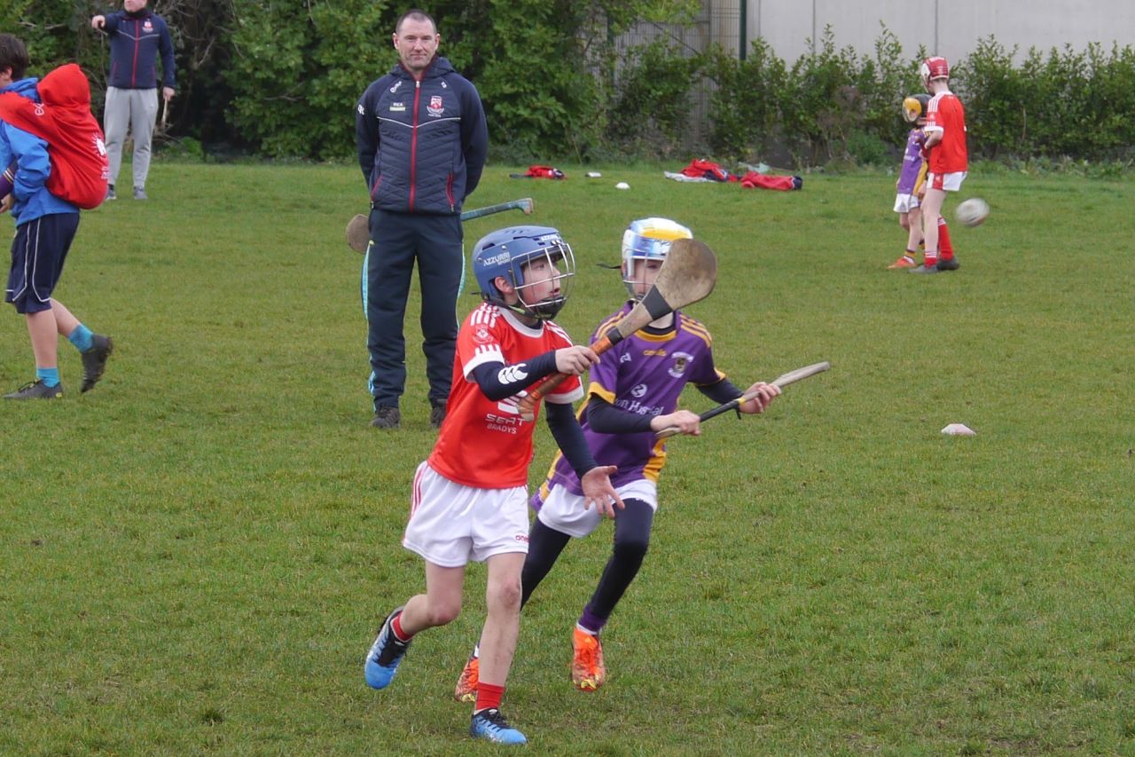 U10 Hurling Gp.1Z  vs St Brigids