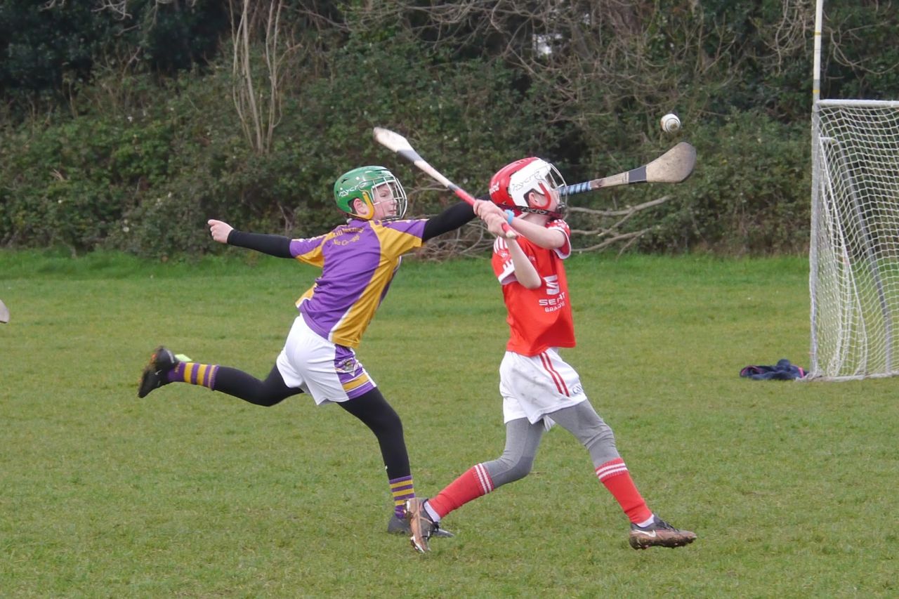 U10 Hurling Gp.1Z  vs St Brigids