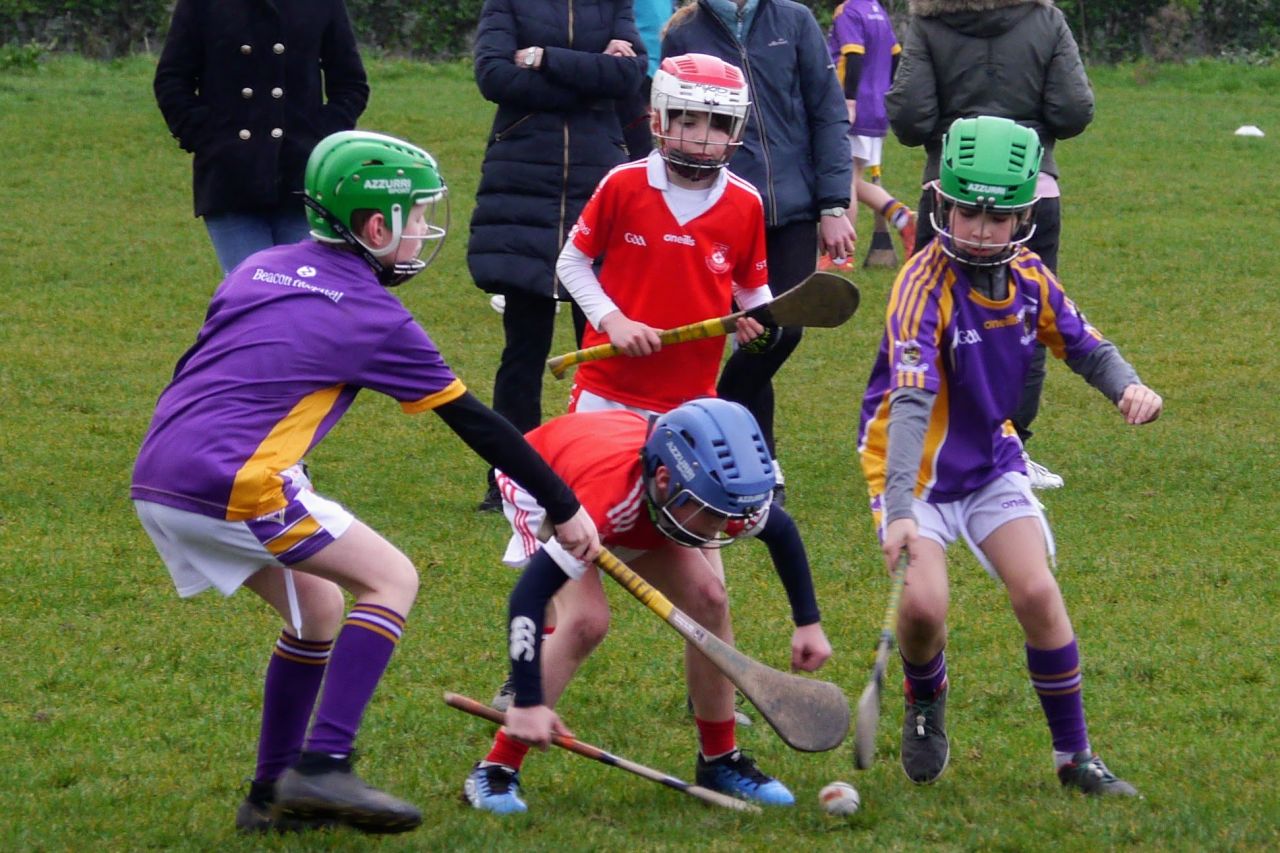 U10 Hurling Gp.1Z  vs St Brigids