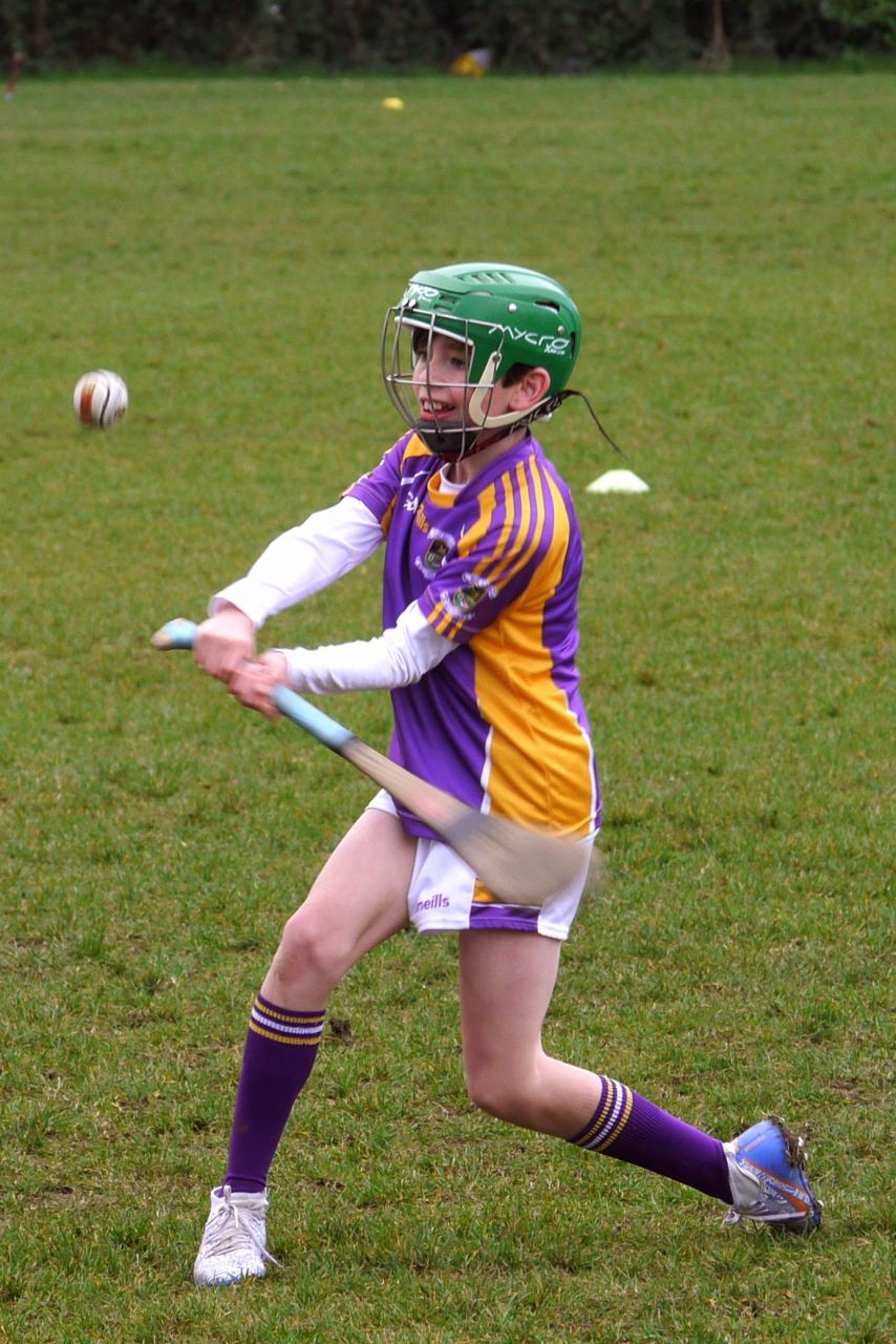 U10 Hurling Gp.1Z  vs St Brigids