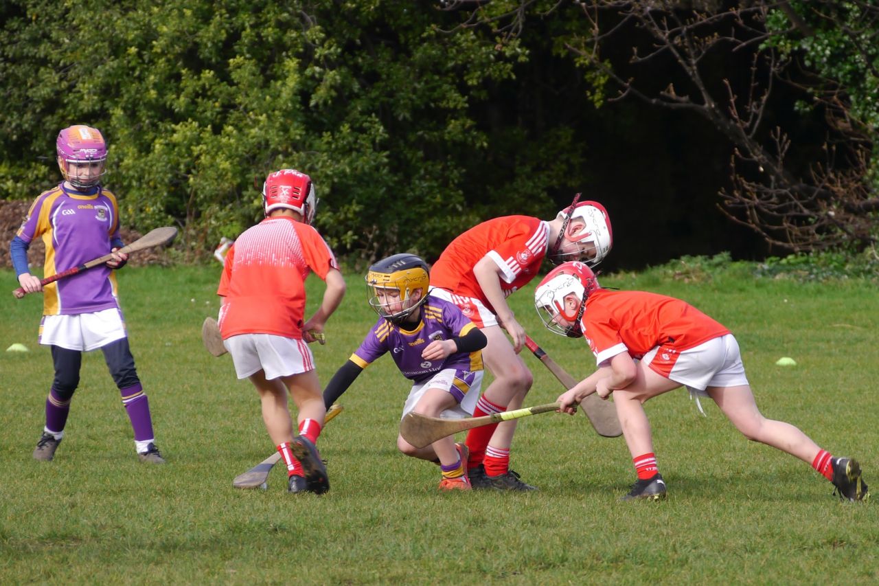 U10 Hurling Gp.1Z  vs St Brigids