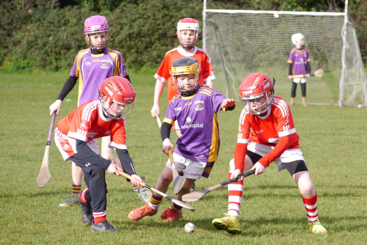 U10 Hurling Gp.1Z  vs St Brigids